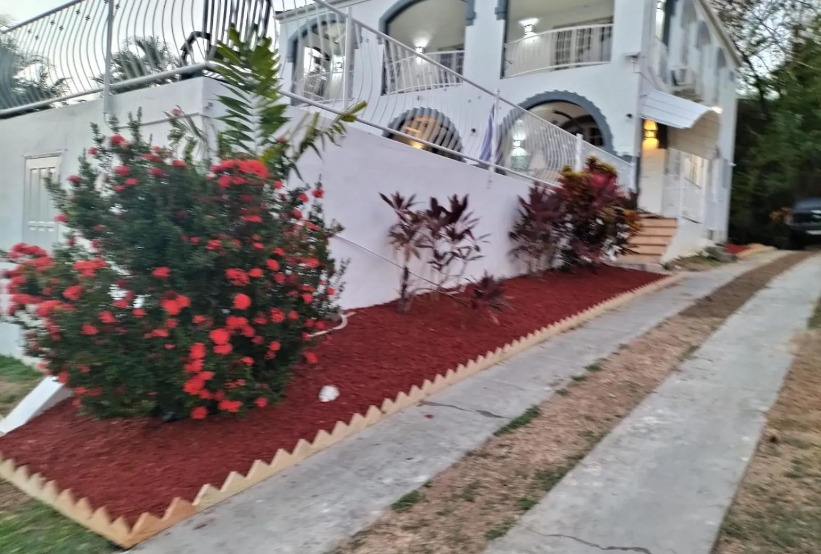 Sugarbird Villa Black Rock
